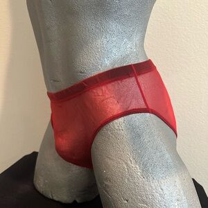 Sheer Brief  - Red  #45